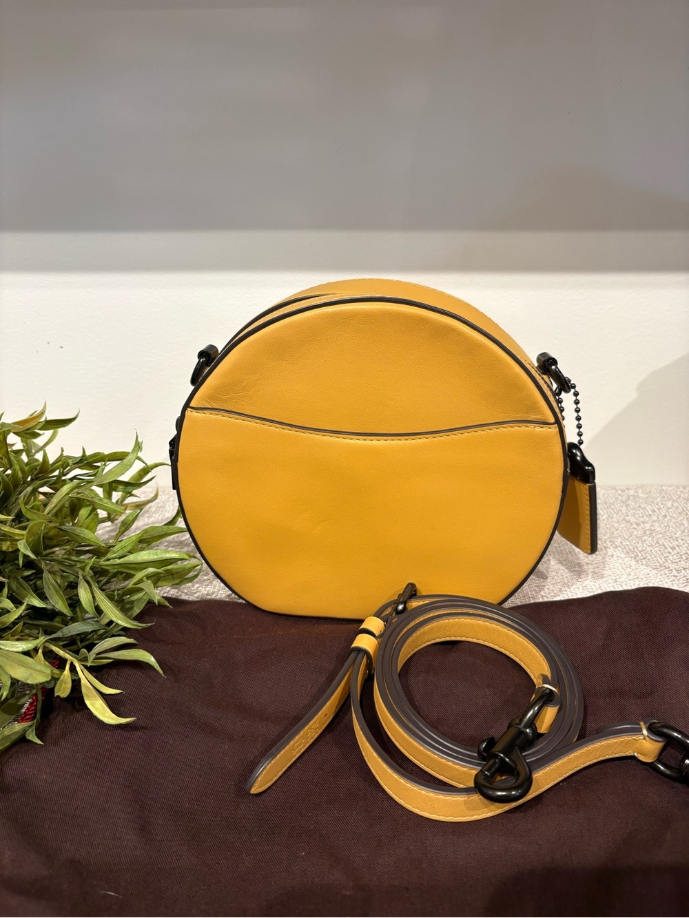 Coach Canteen Leather Honeycomb Crossbody Bag 35844